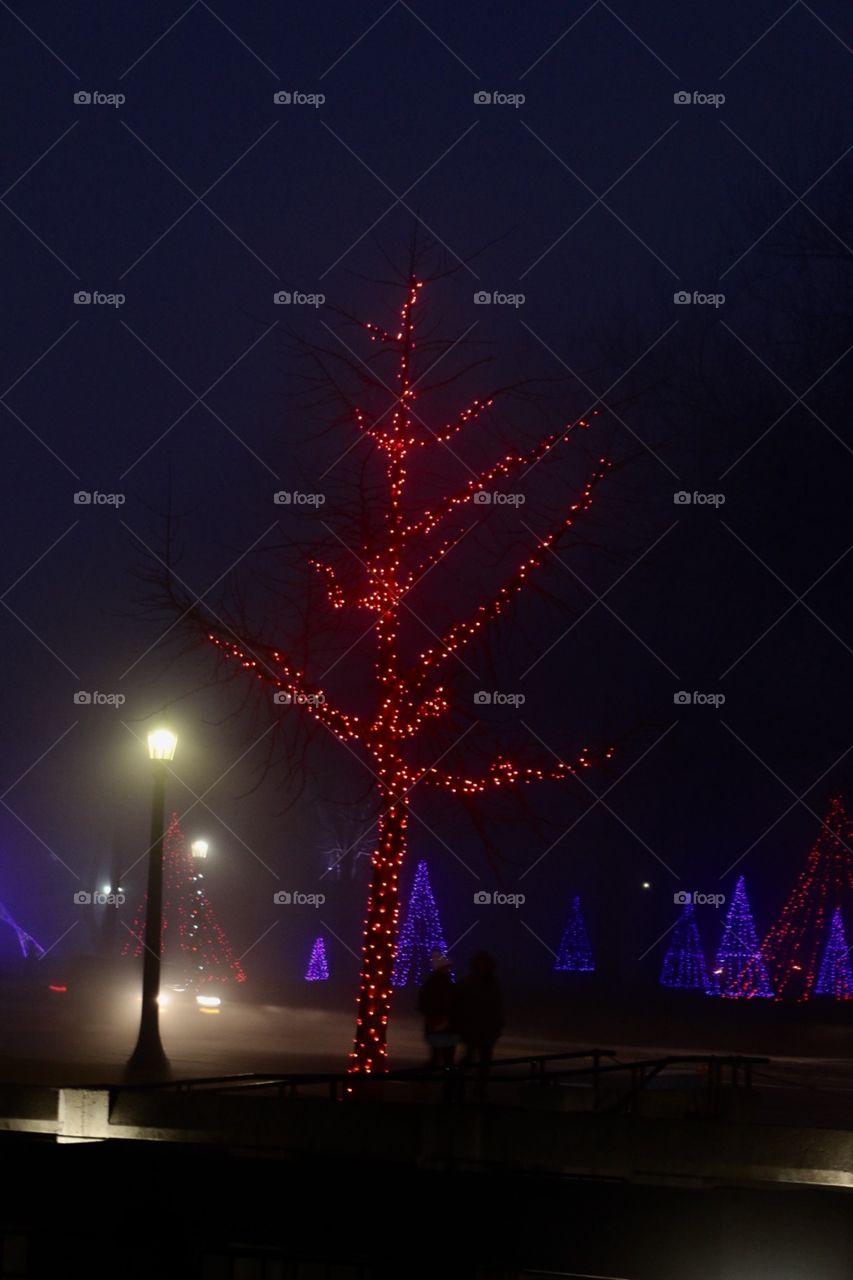 Lighted tree 