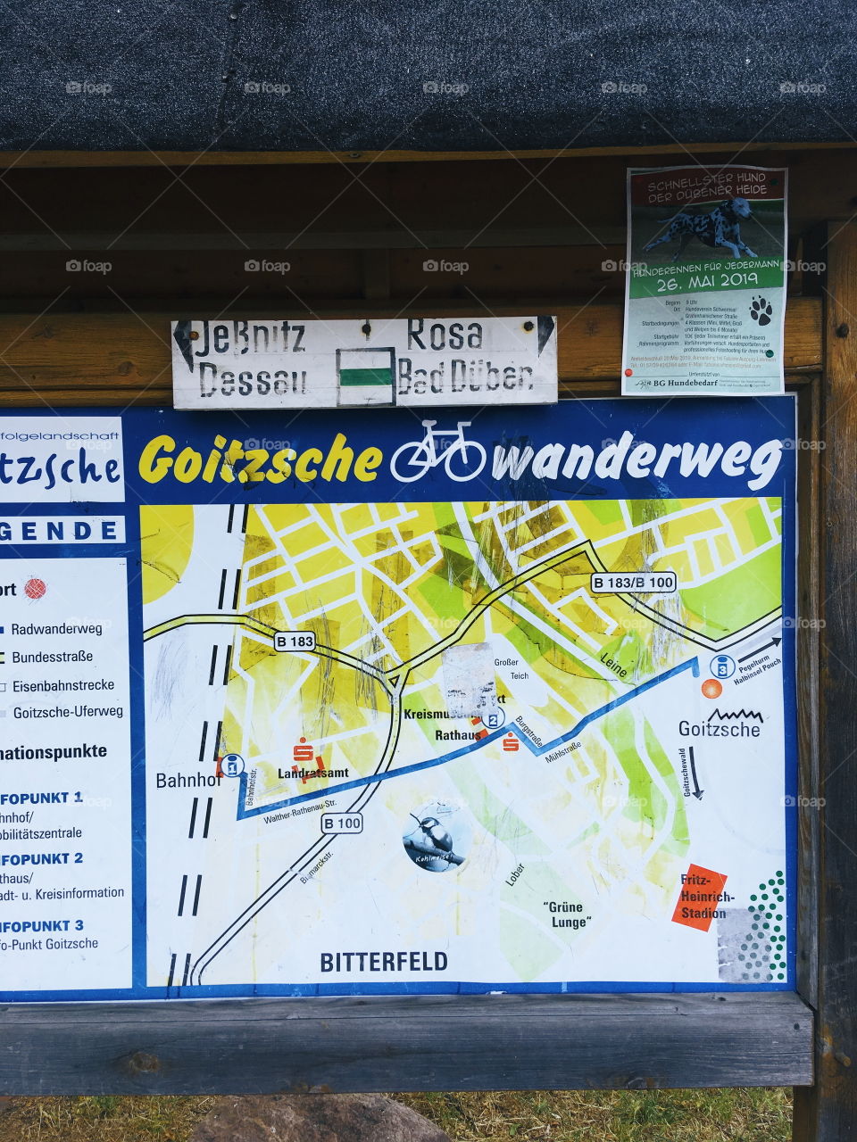 Bike route by the Goitzschesee