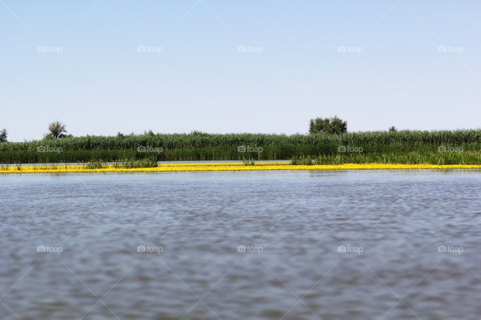 Пейзаж/landscape 