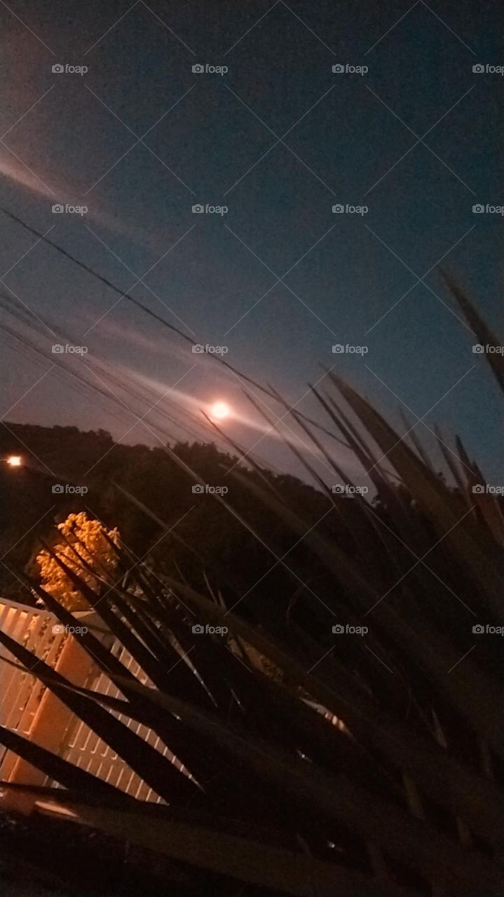 Noite de Lua cheia Bela Santa Catarina