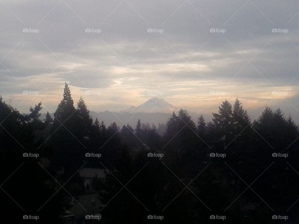 January - Mt. Rainier Washington State