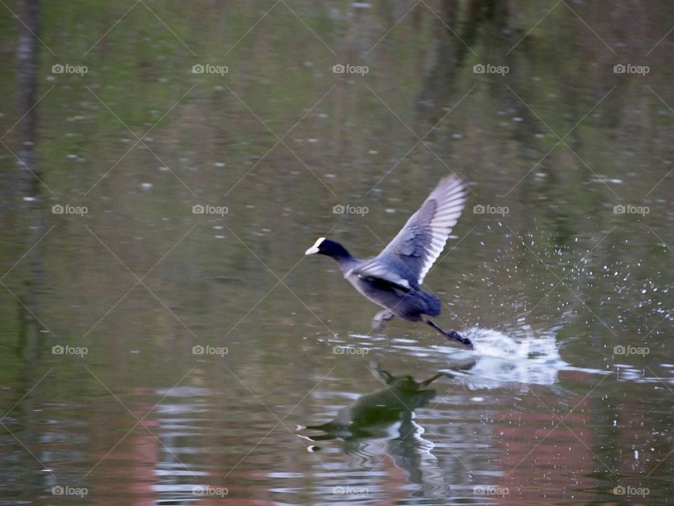 struggle for territory