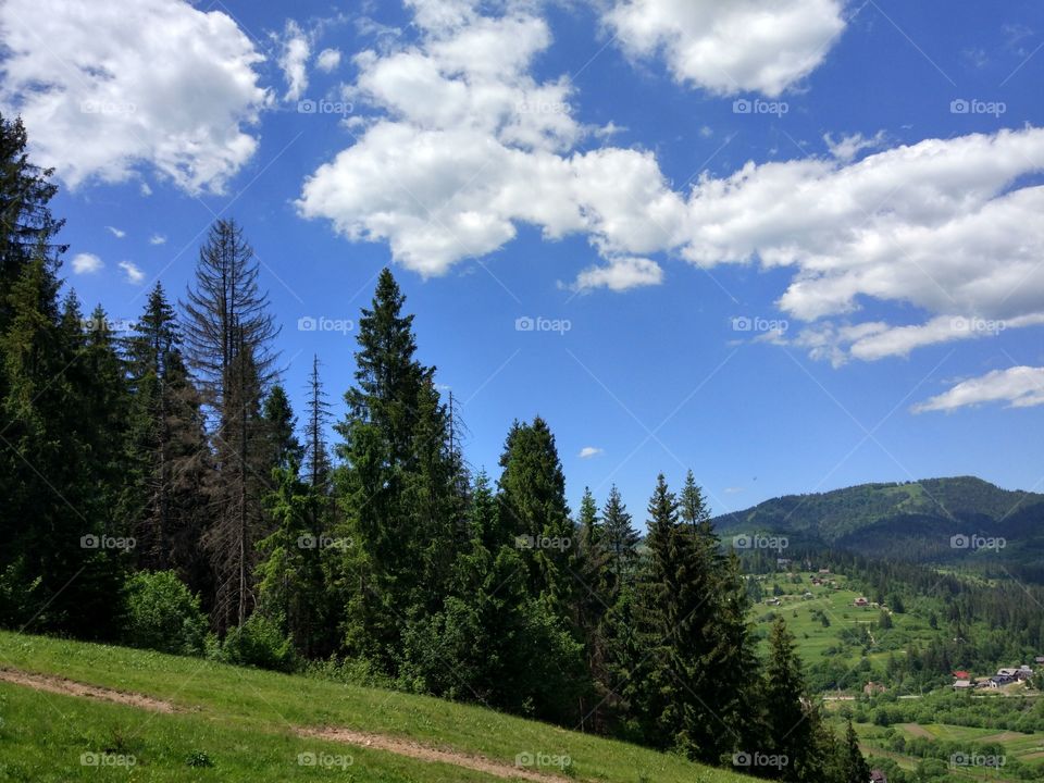 Carpathian mountains landscape