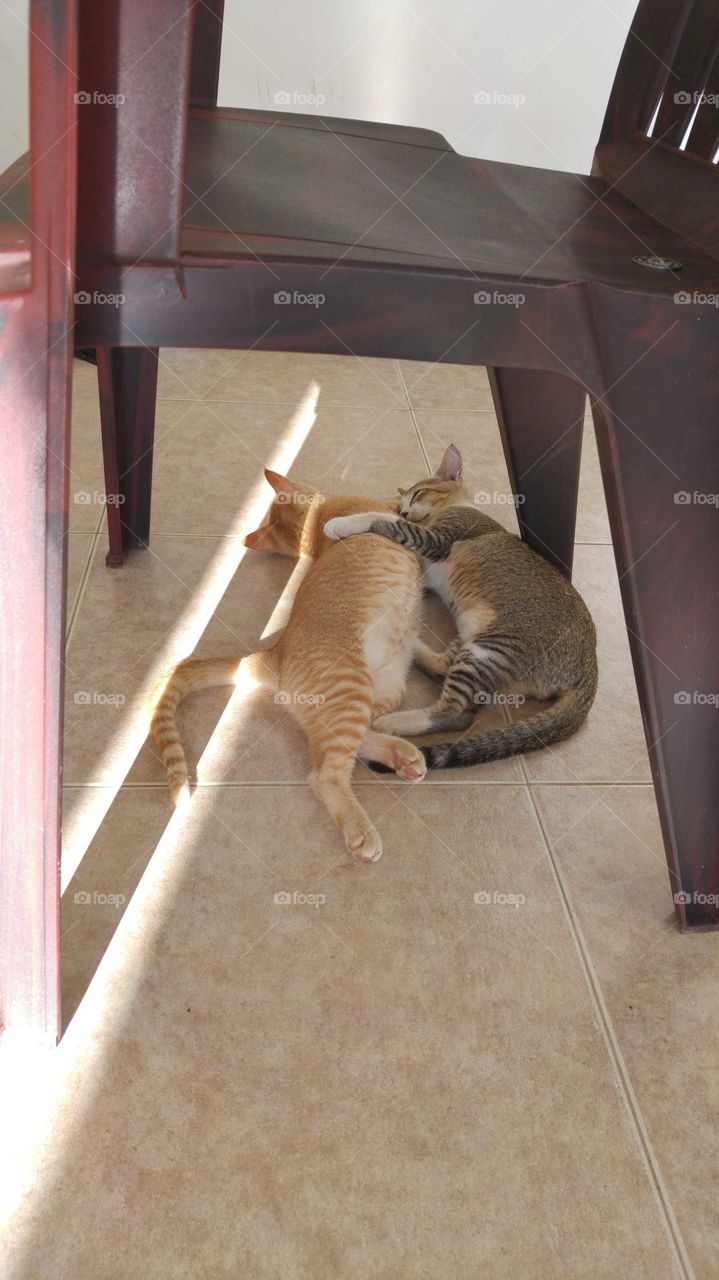 two brothers playing