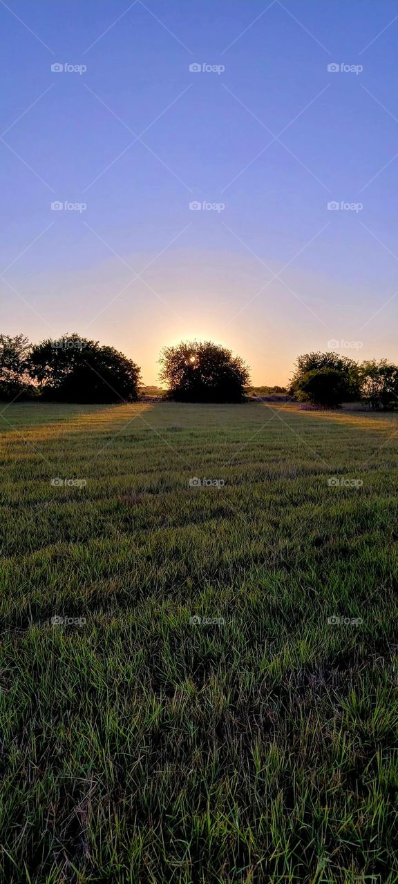 South Texas Sunset