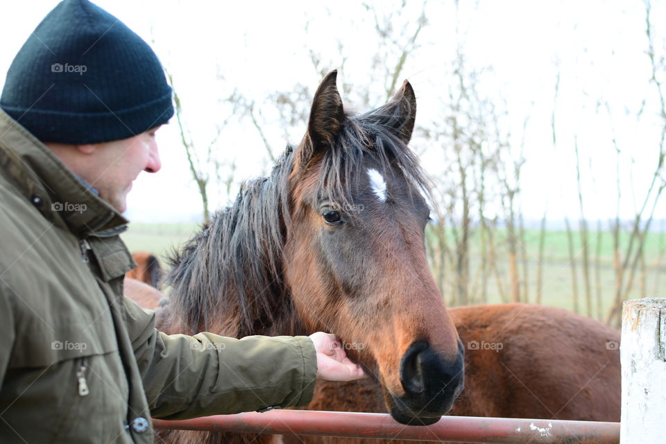 Man stroking horse