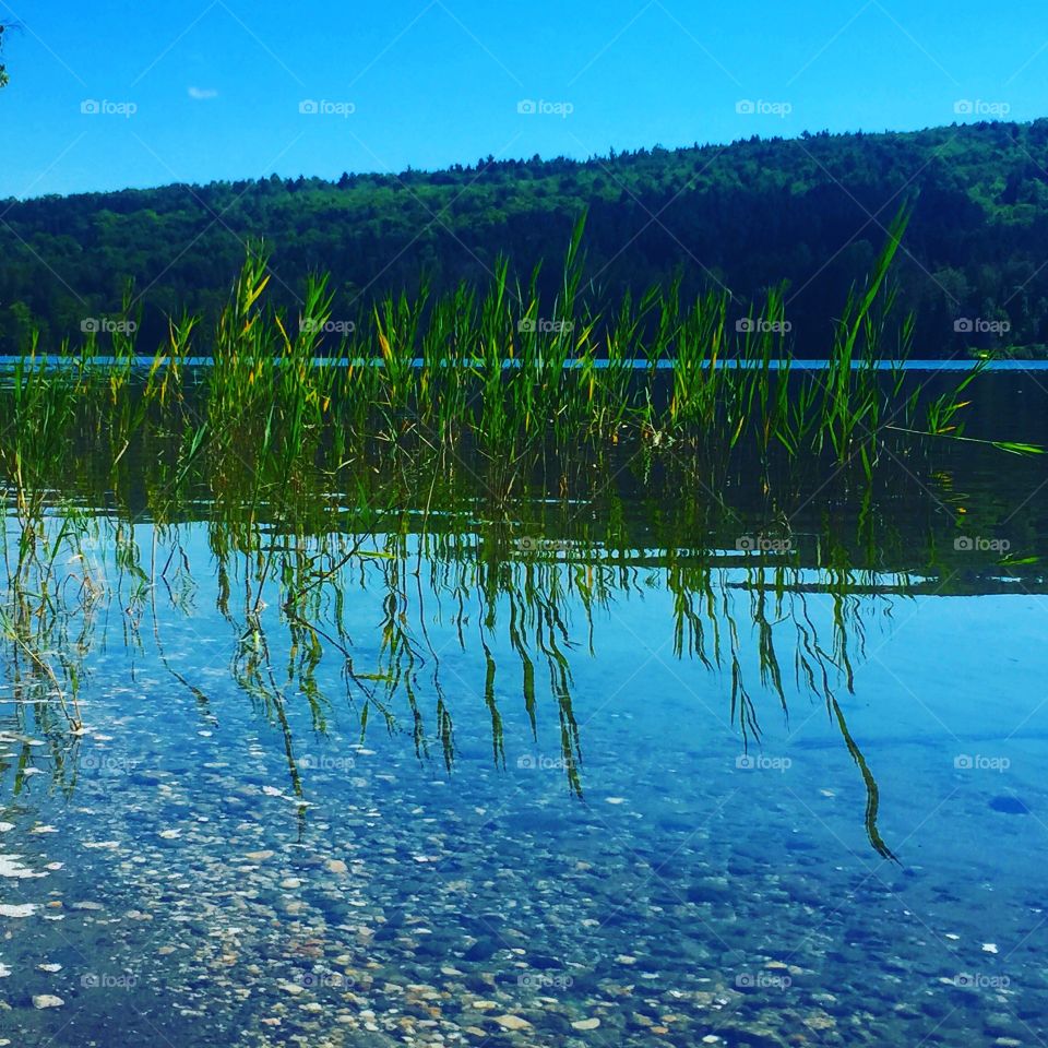 Water, Lake, No Person, Nature, Landscape