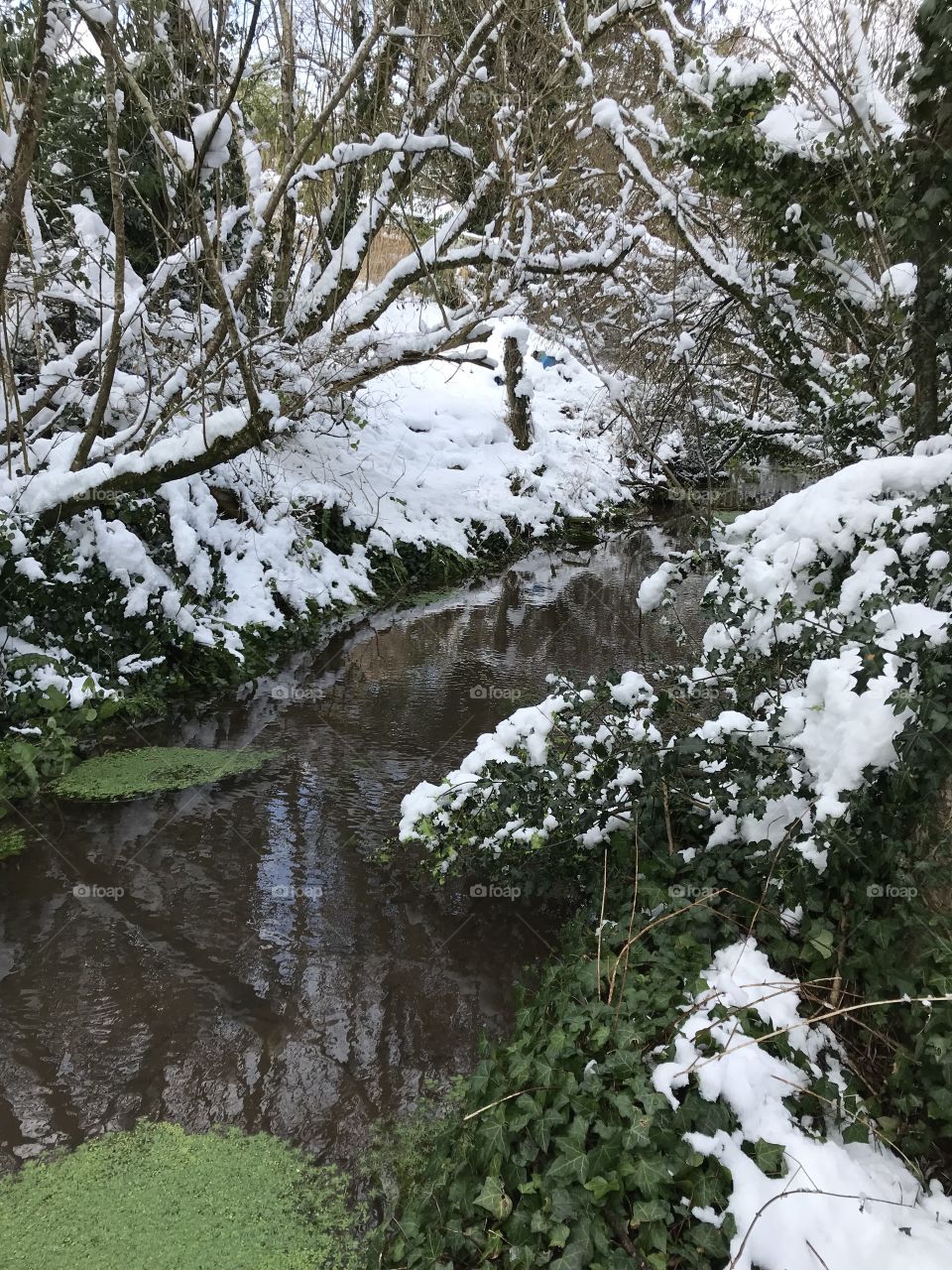 Country stream decorated with winter snow, to give an attractive finish to the photograph