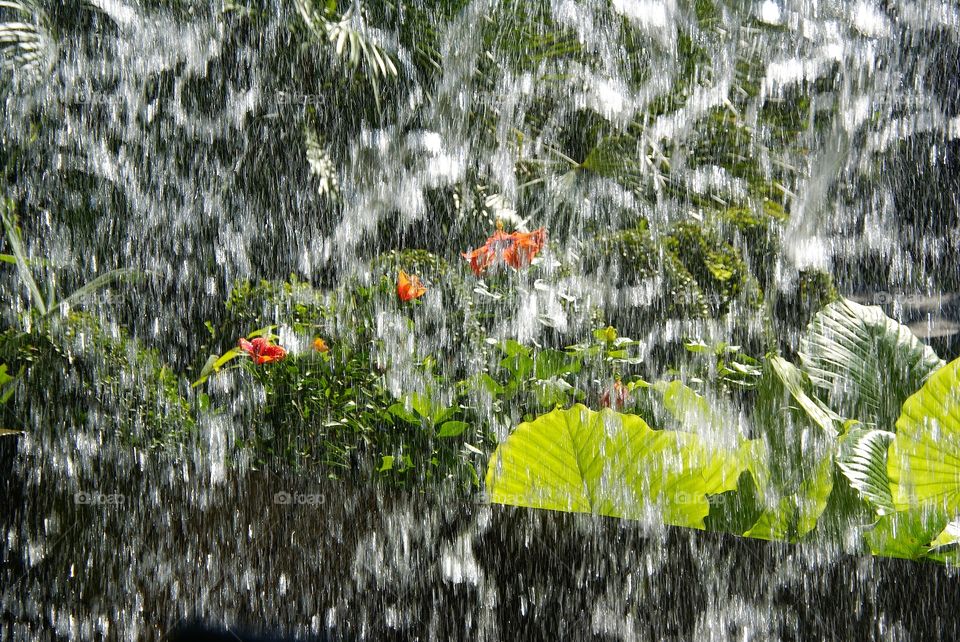 Through a wall of water