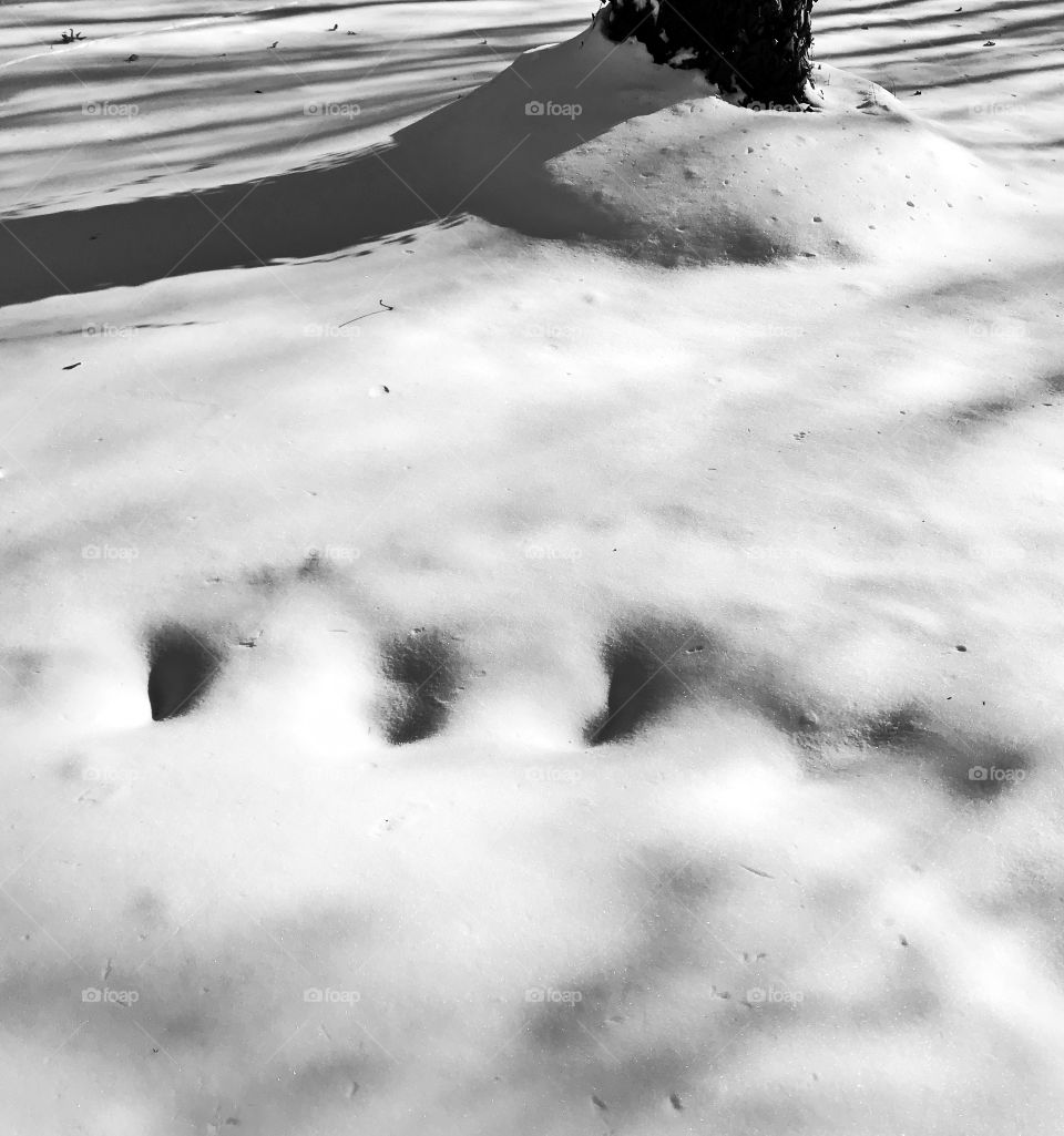 Snow shadows