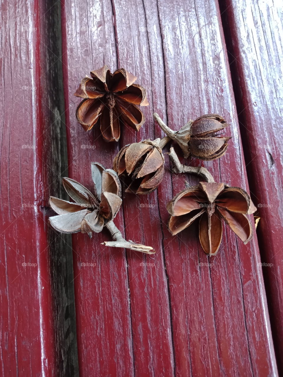 Wood, Wooden, Rustic, No Person, Old