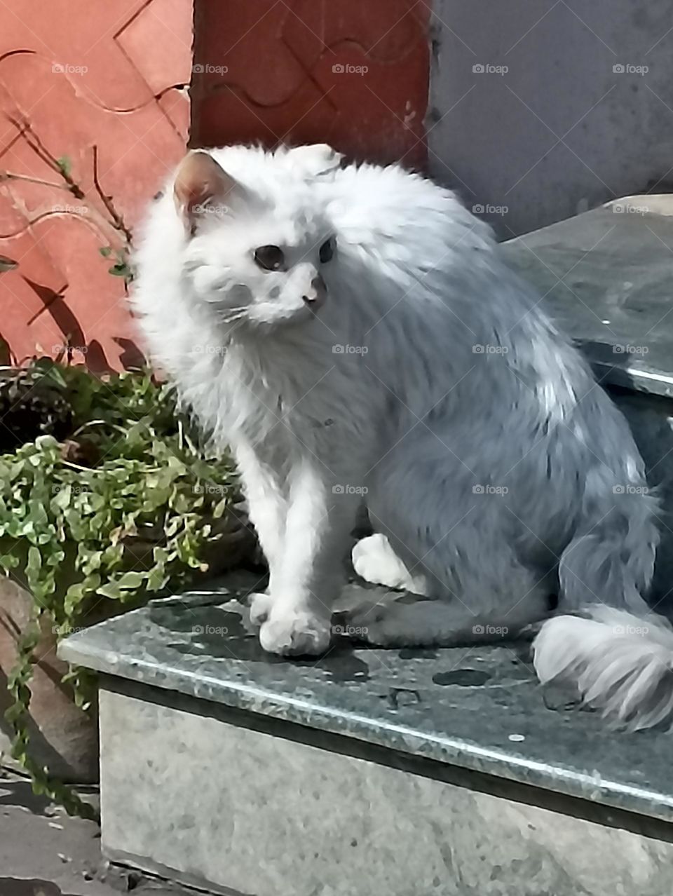 construction is high in me