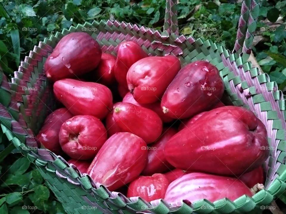 Green basket full of just harvested red fruits outdoor