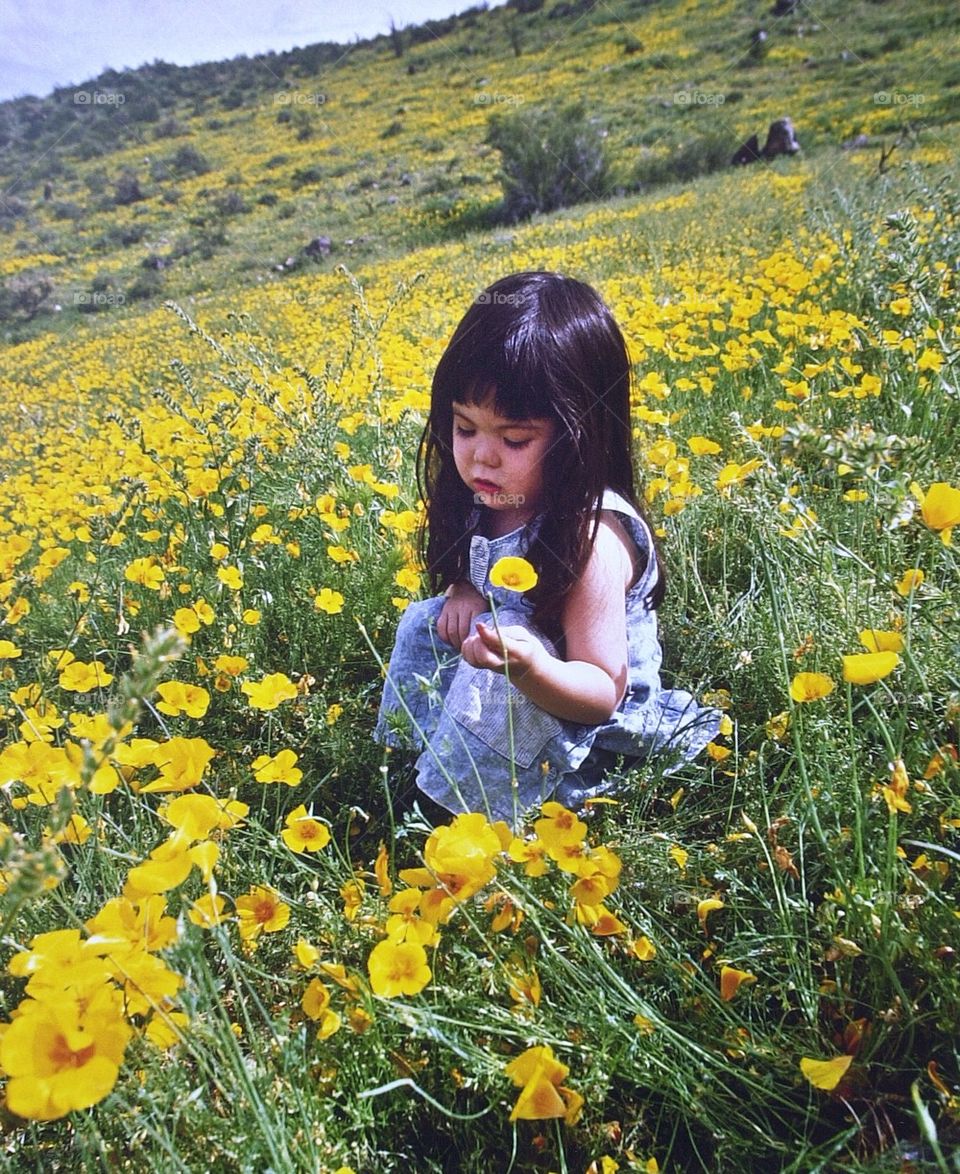 A young girl sits in a field of Mexican poppies during the warm spring
