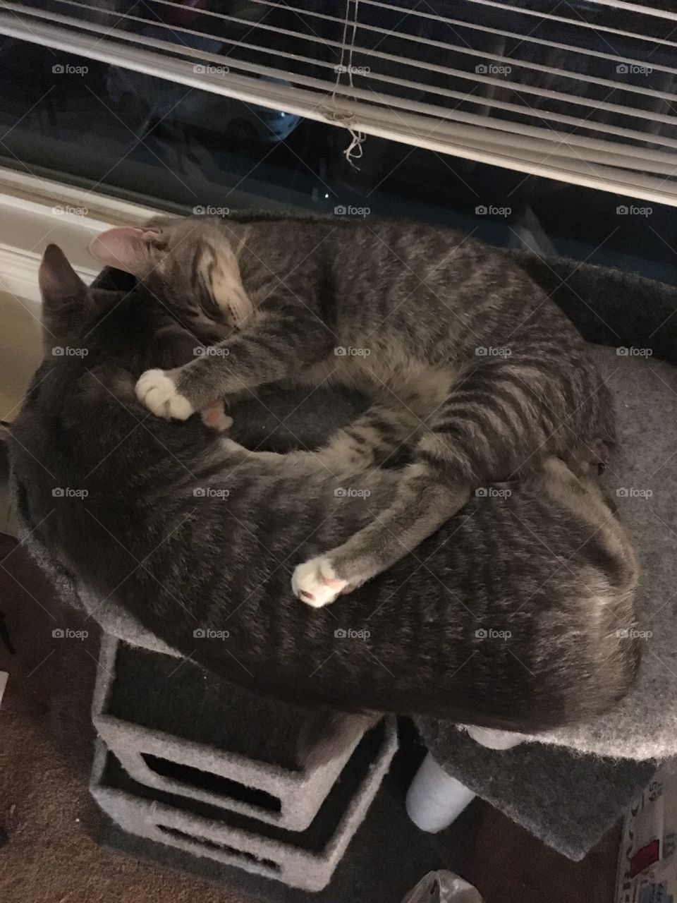 Twin snuggles 