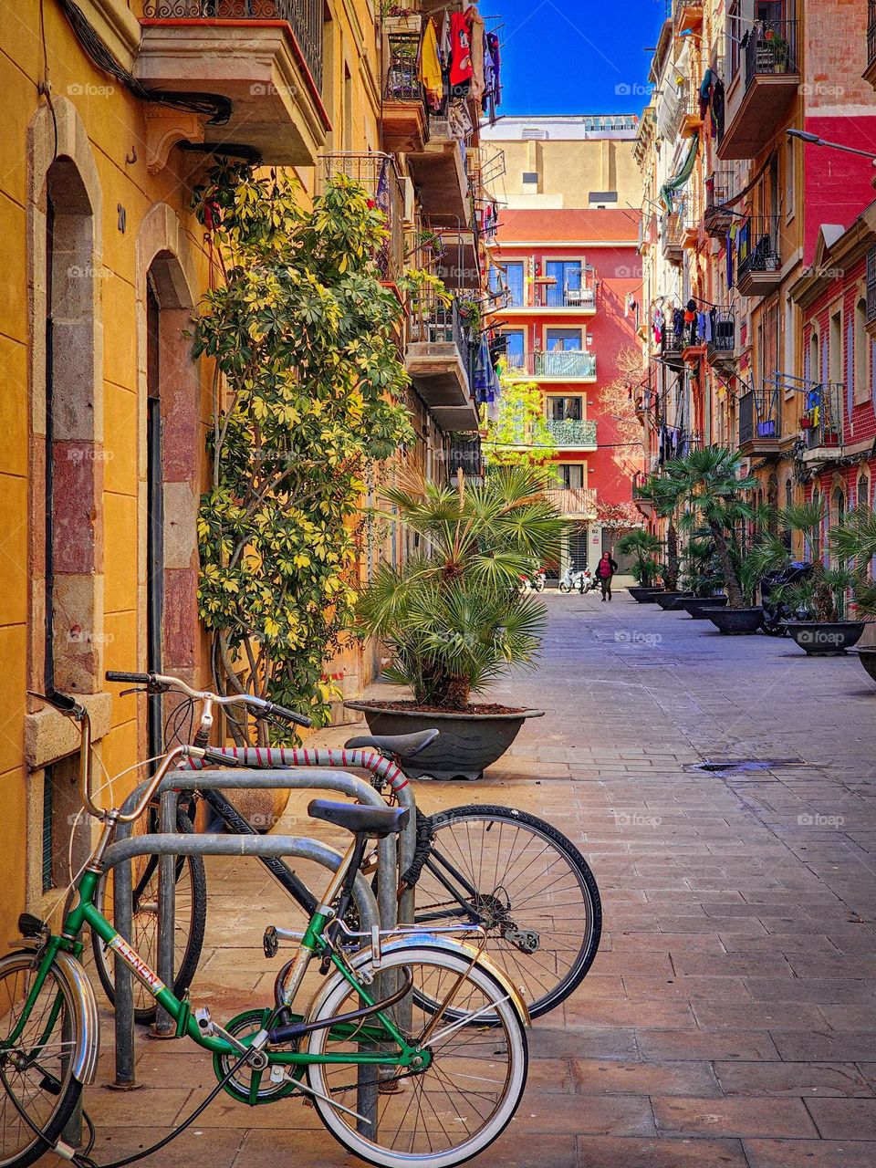 Colorful side street in Barcelona city, with bicycles and plants in quarter of Barceloneta.