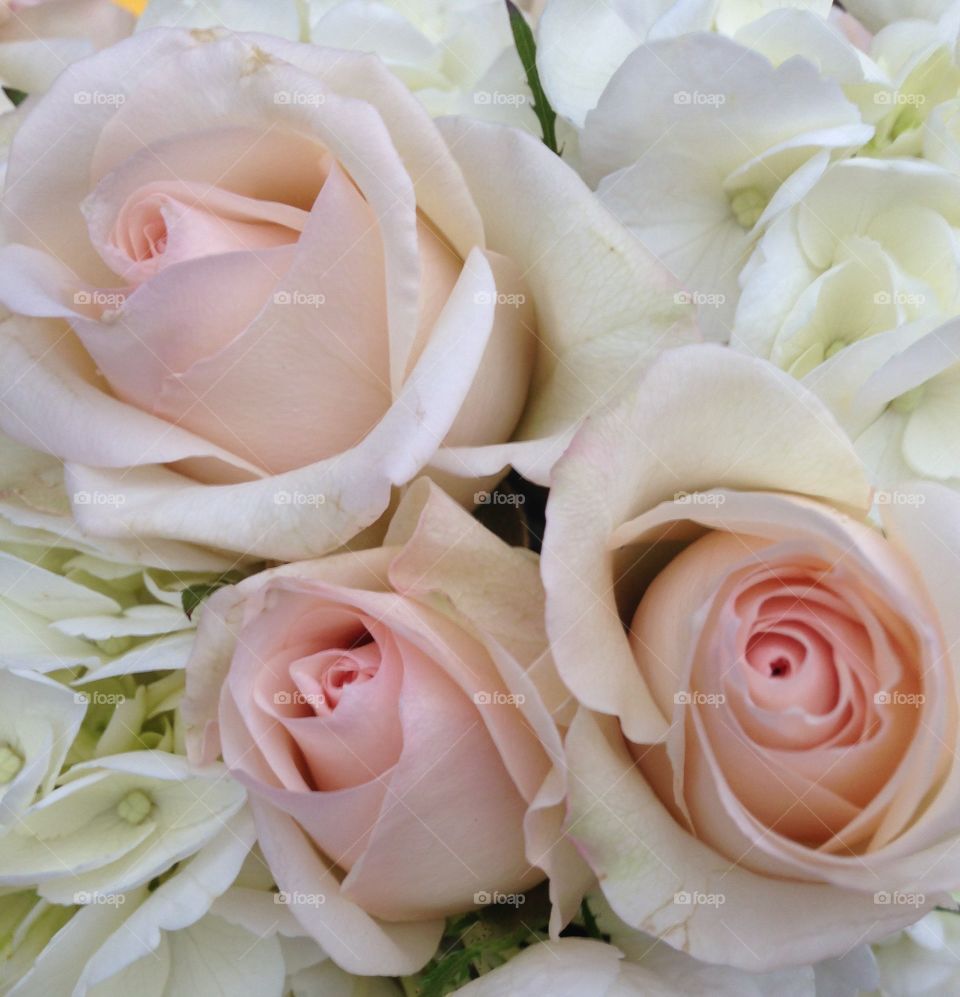 The bride's pale blush flowers were perfection. 