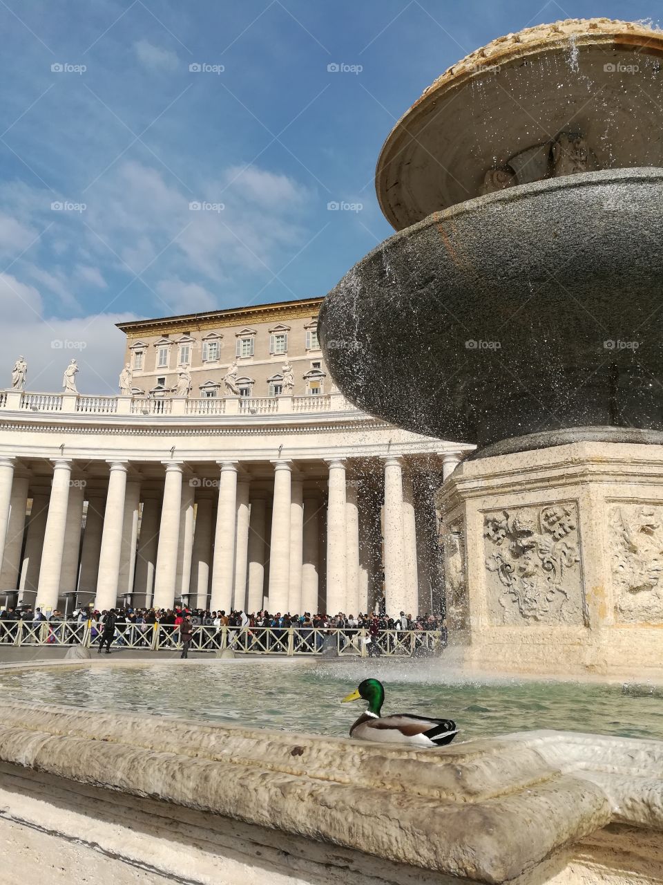 a Vatican duck