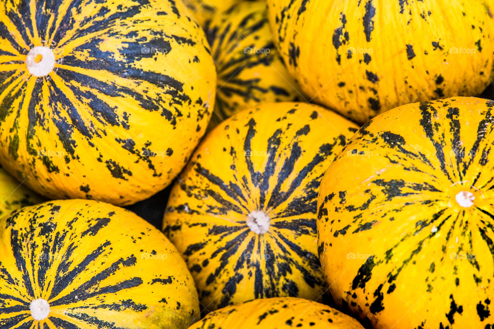 Fresh vegetable pumpkins