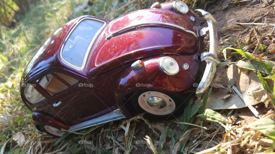 fusca
