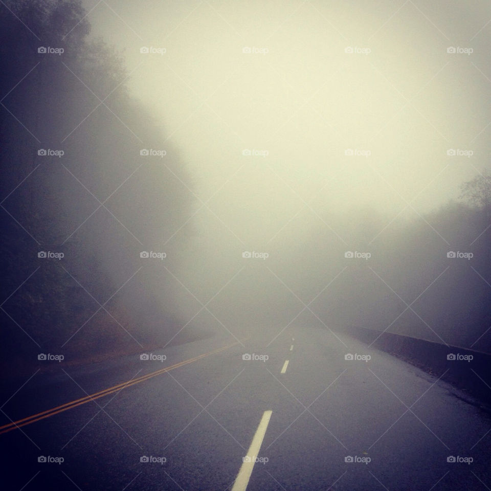 road fog creepy foggy by pamelaevelyn