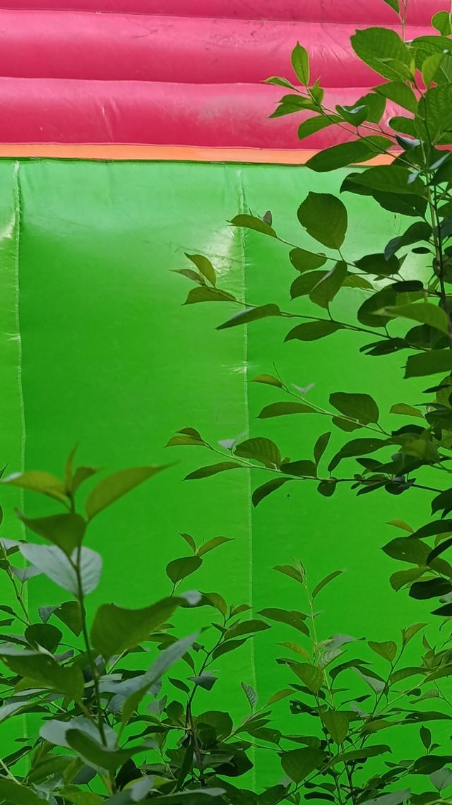 light green