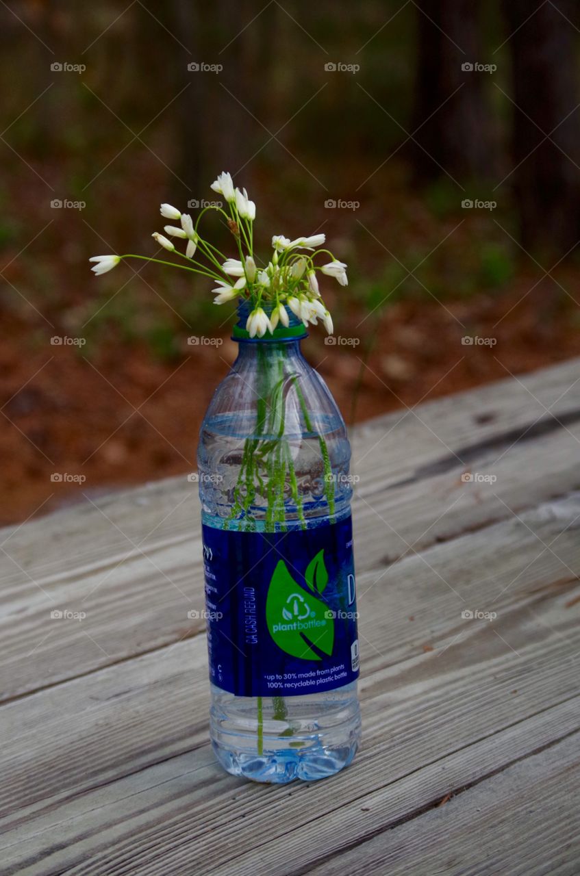 Wildflowers In Bottle