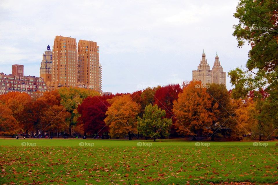 Central Park in fall