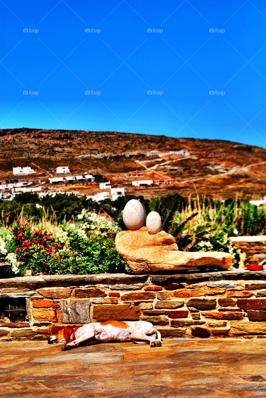 flowers happy summer colors by mrarflox