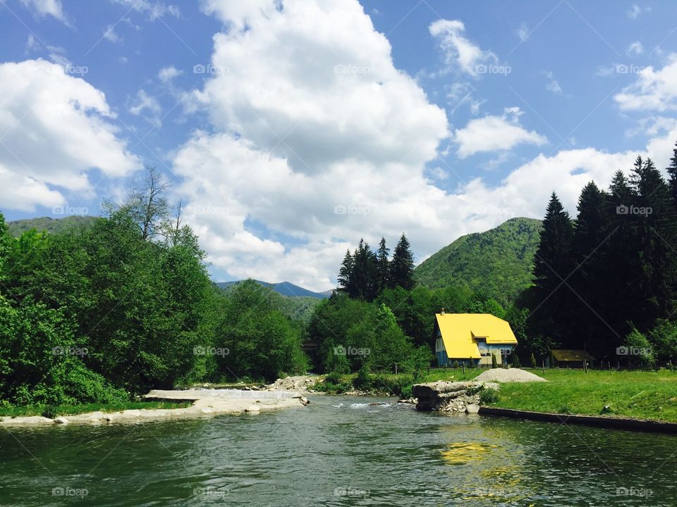 Water, No Person, Nature, Summer, Tree