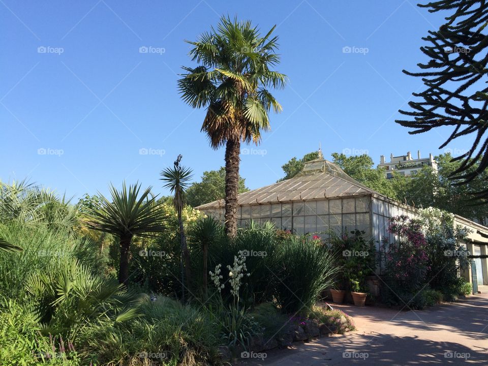 Botanical garden, Lyon