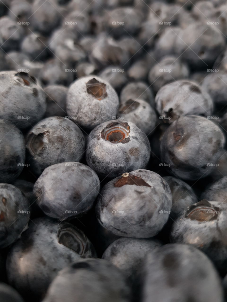 Blueberries