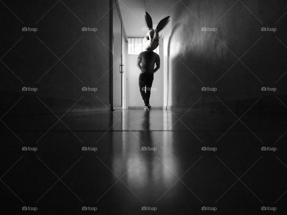 black rabit