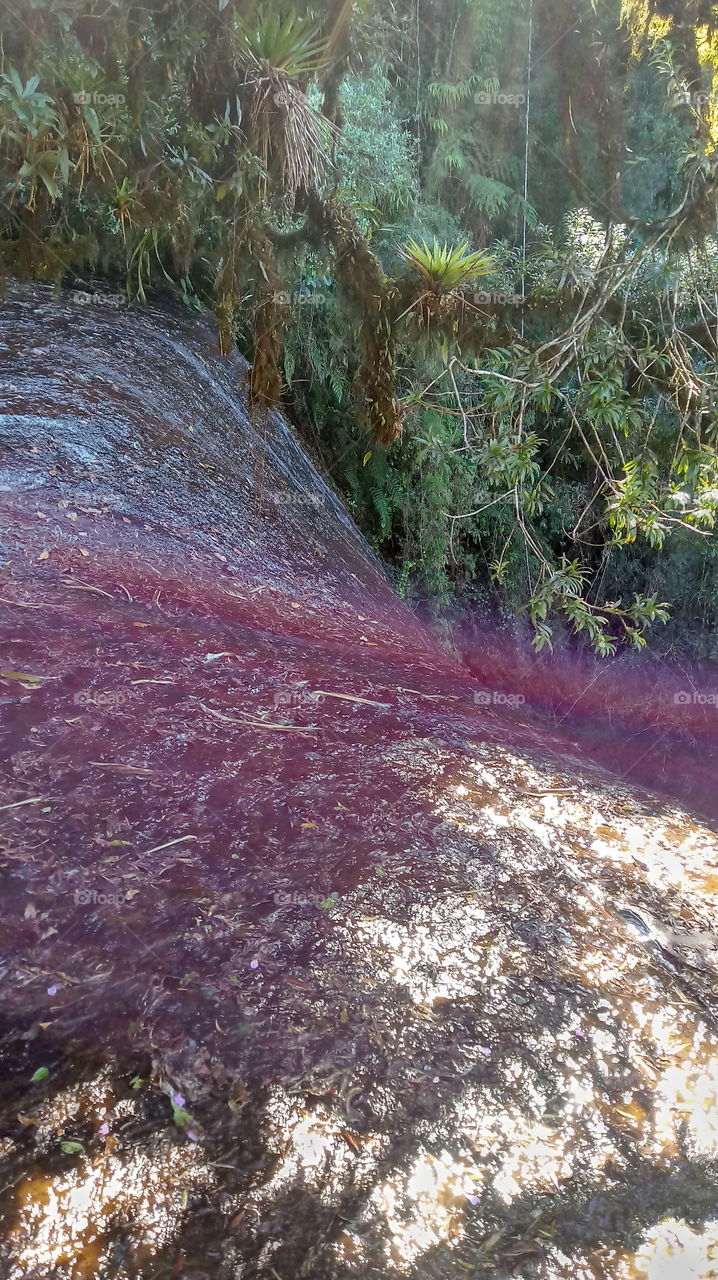 CASCATA PEDRAS RIACHO