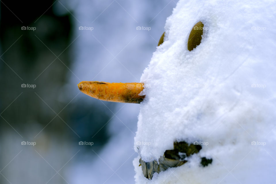 Beautiful snowman portrait side view