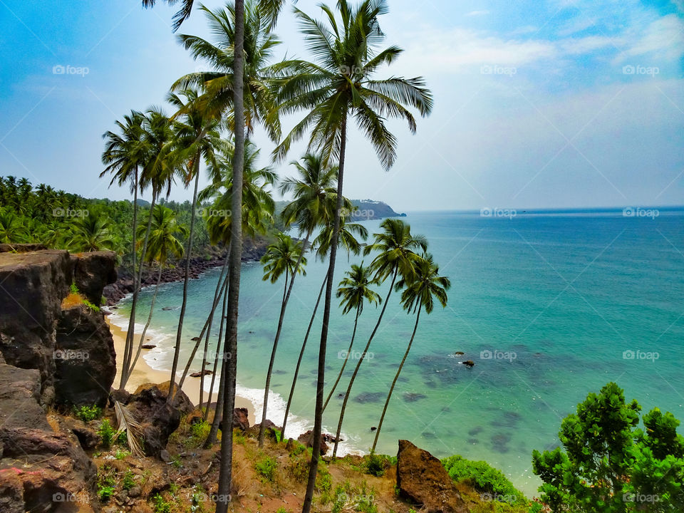 breathtaking view of the sea with white sand n waves with tall palm trees from above or from the top