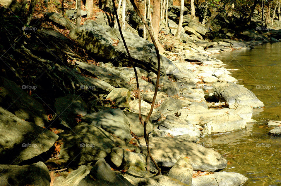 gatlinburg tennessee tree shadow trees by refocusphoto