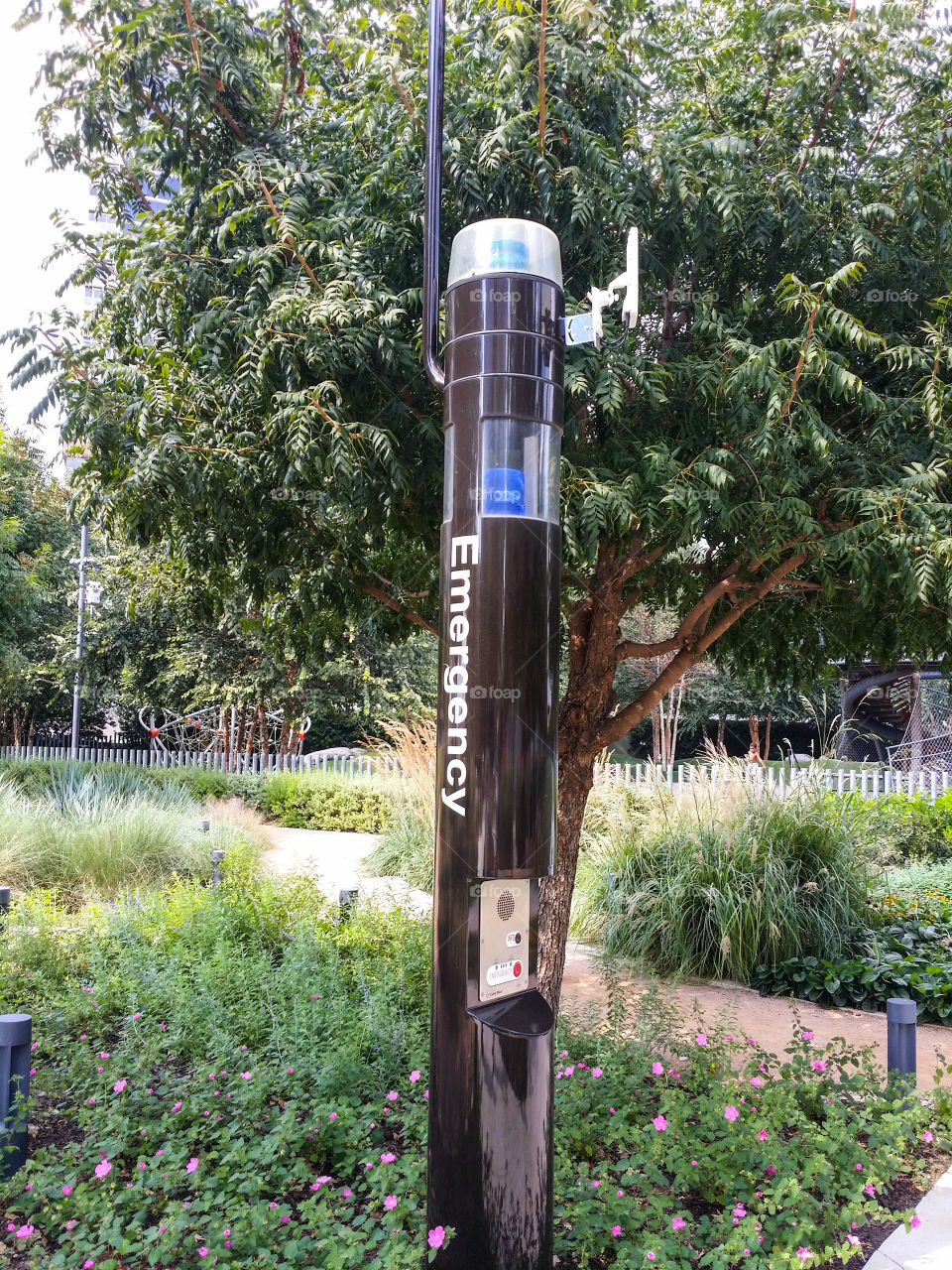 Emergency Pole in the Park