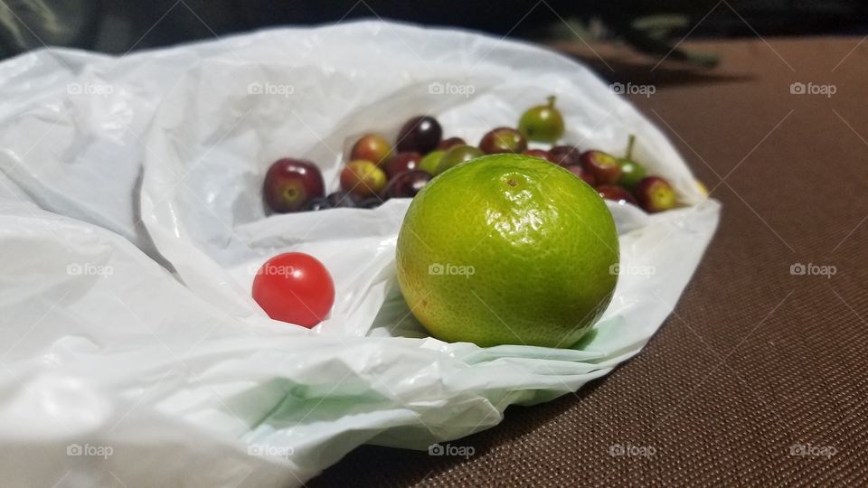 cherries, golden berry and a lemon  (harvesting some of park's trees)