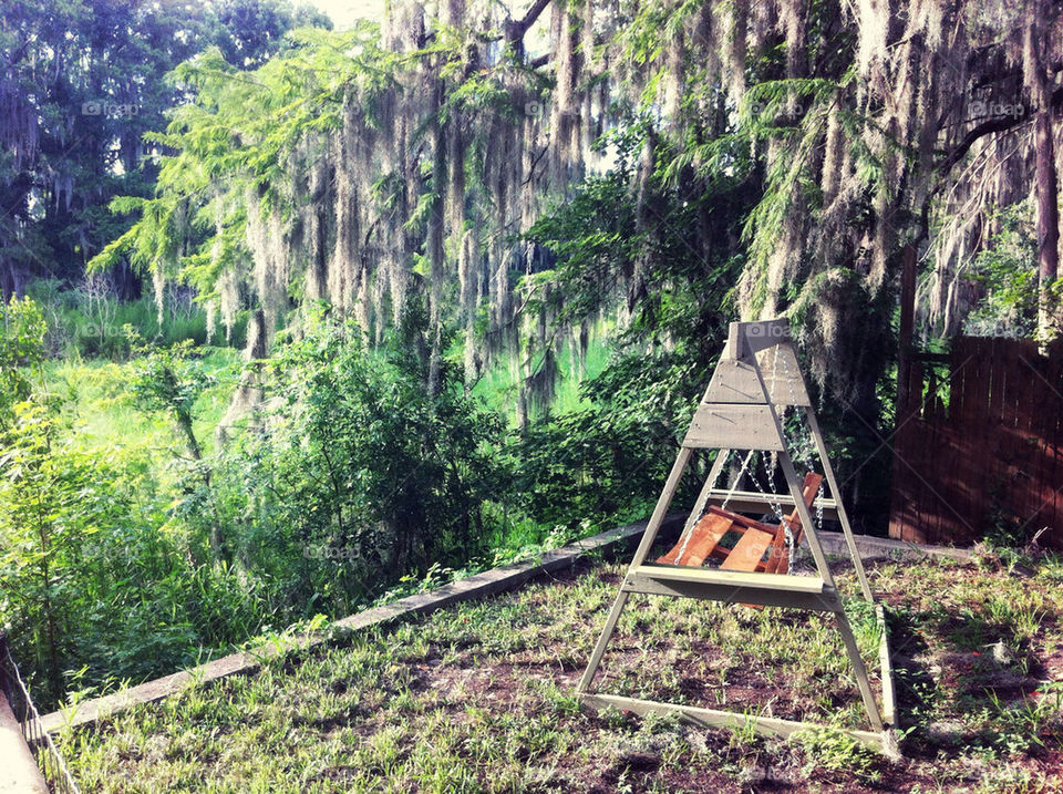 florida cross creek moss by vegatron