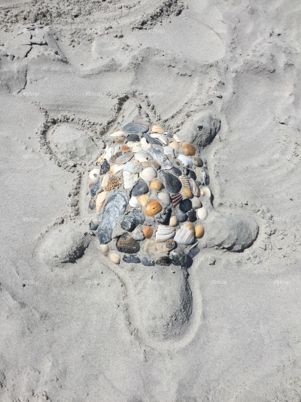 Turtle Art