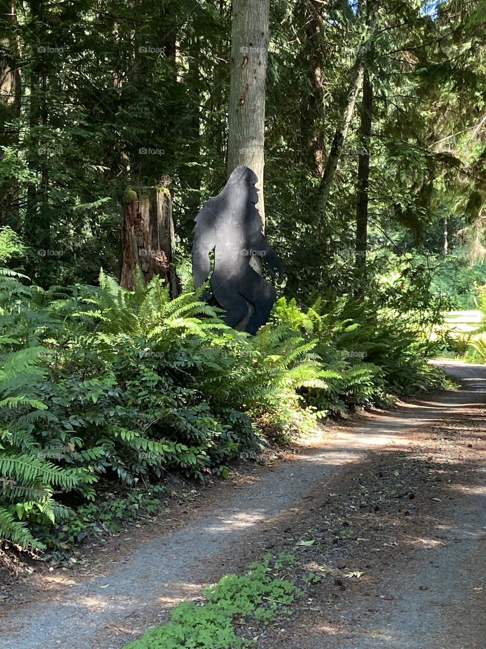 I found Bigfoot!