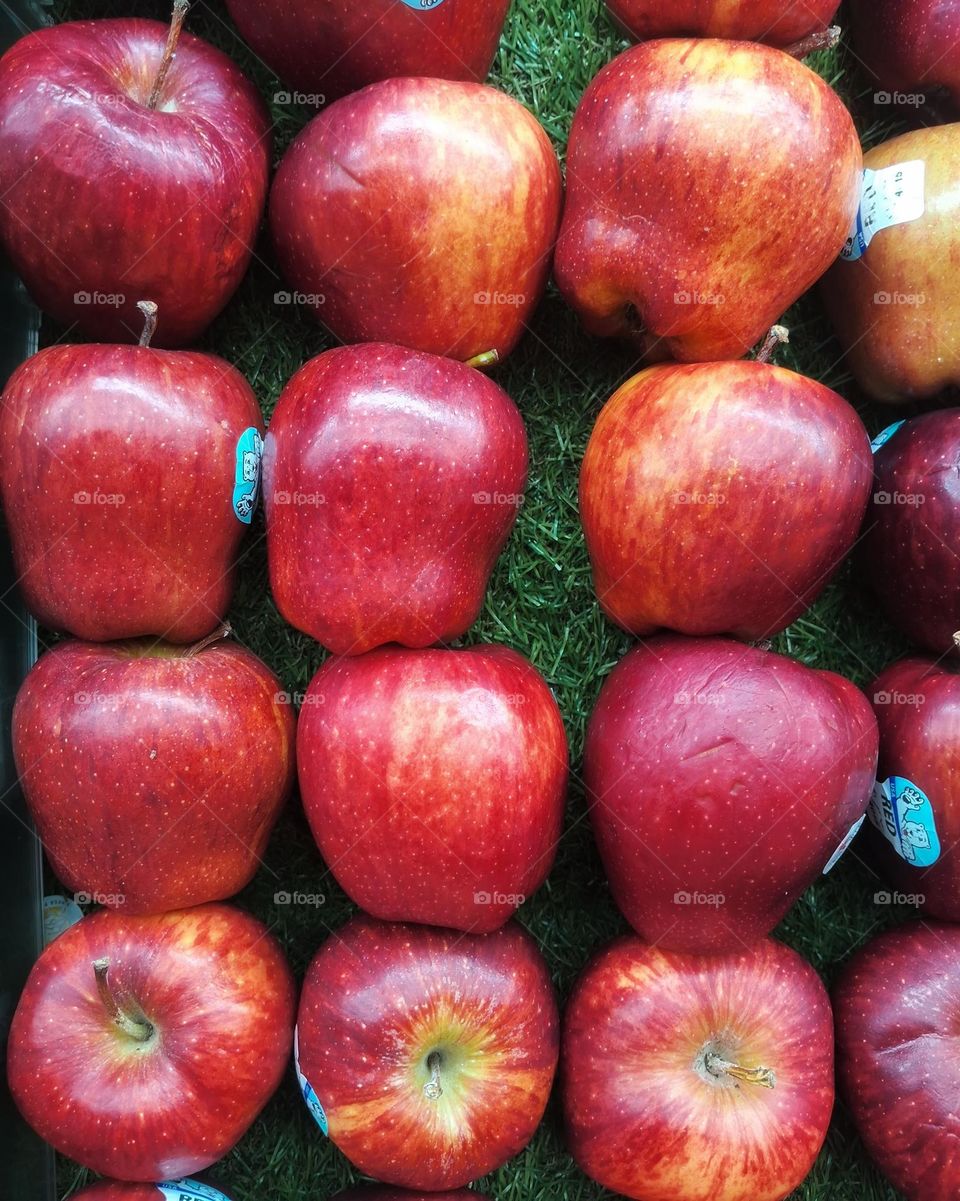 red apples on a green grass background