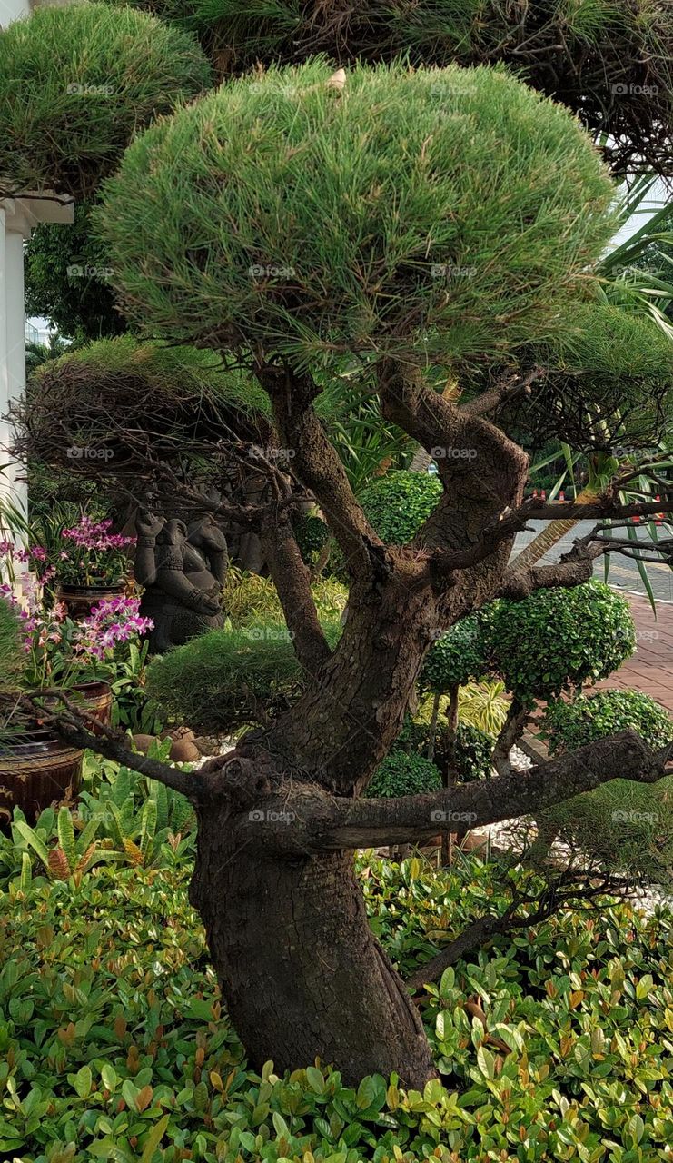 beautiful garden area and well maintained