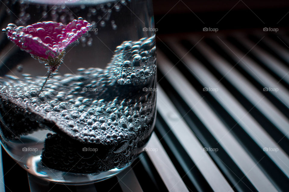 Flowers in bubble glass