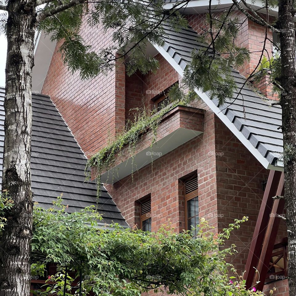 Red brick and green plants