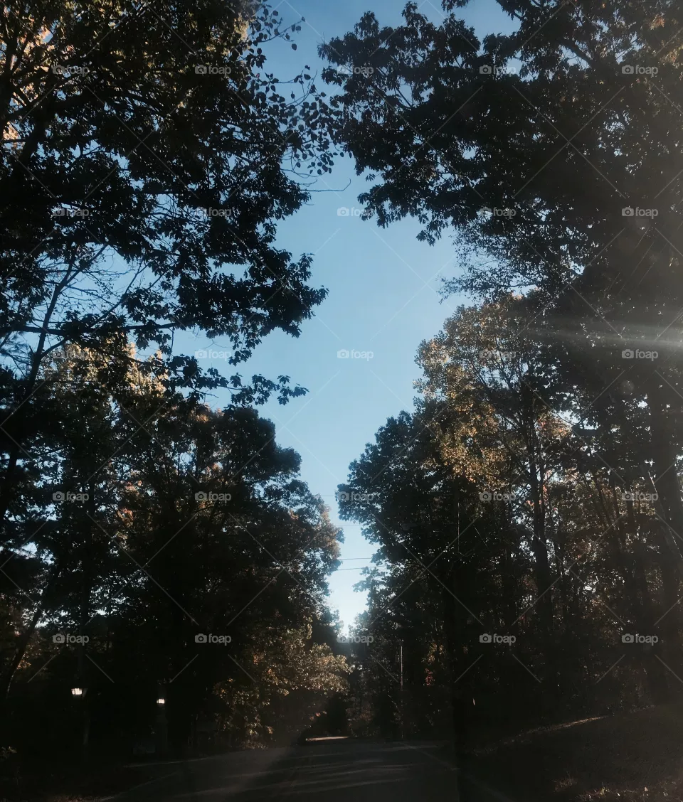 Fall 