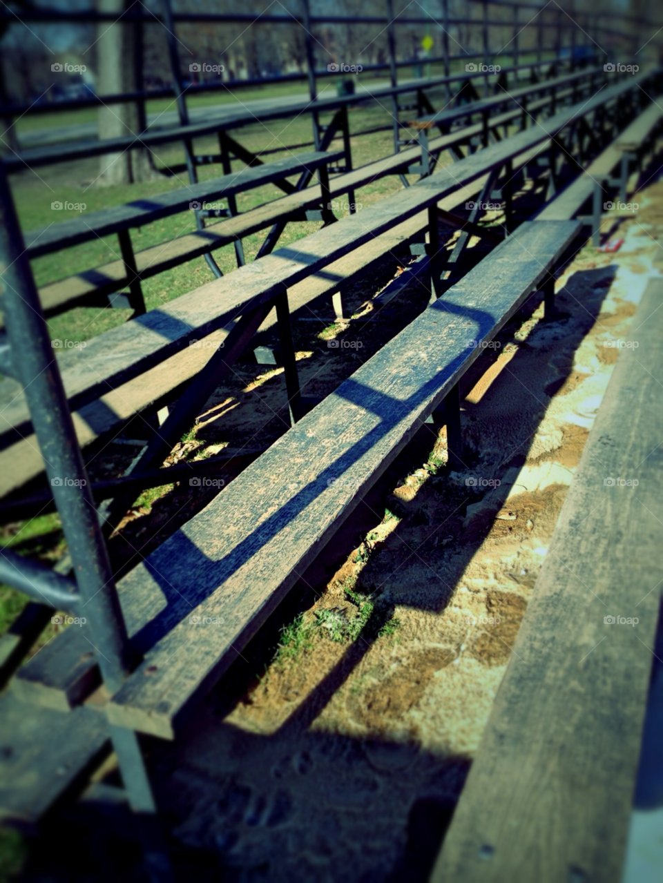 winter wood grass park by squishypie