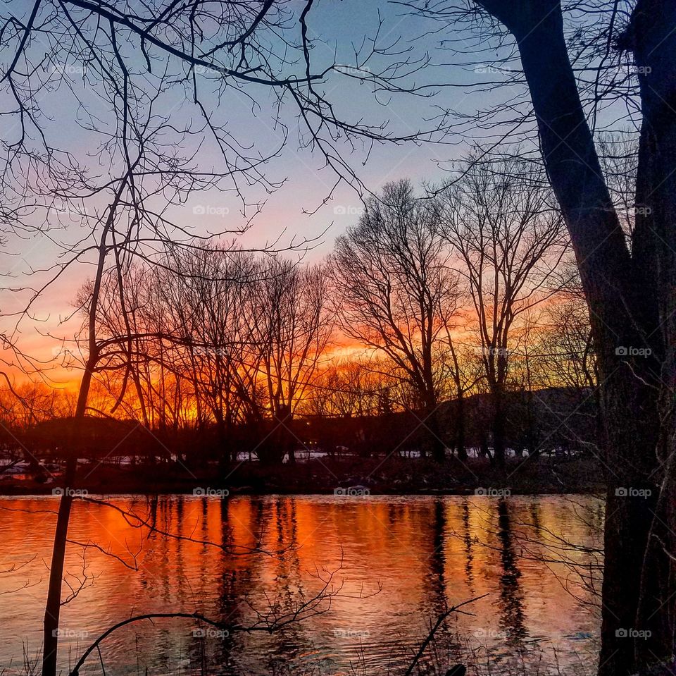 Dawn, Tree, Sunset, Reflection, Lake