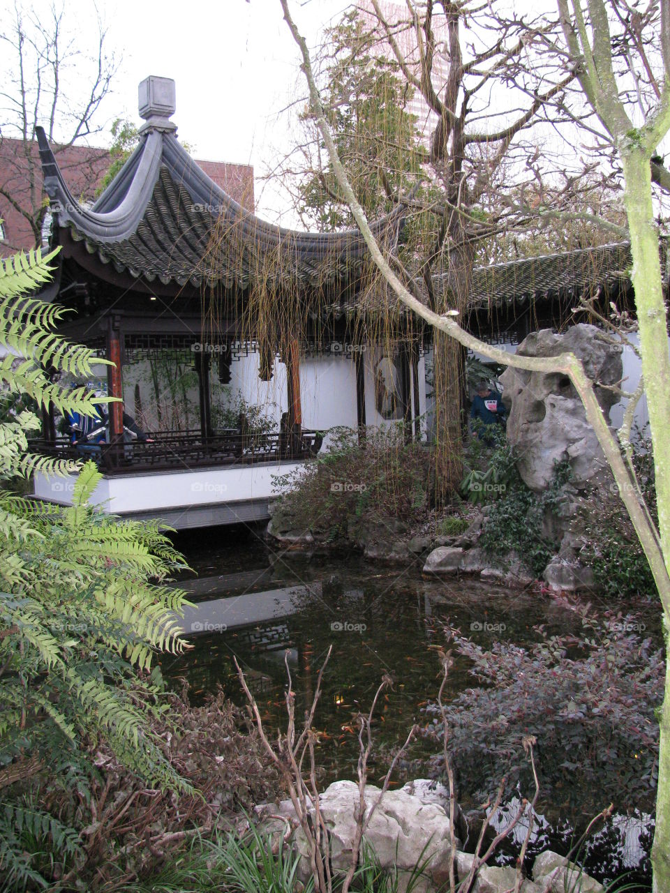 Chinese Garden